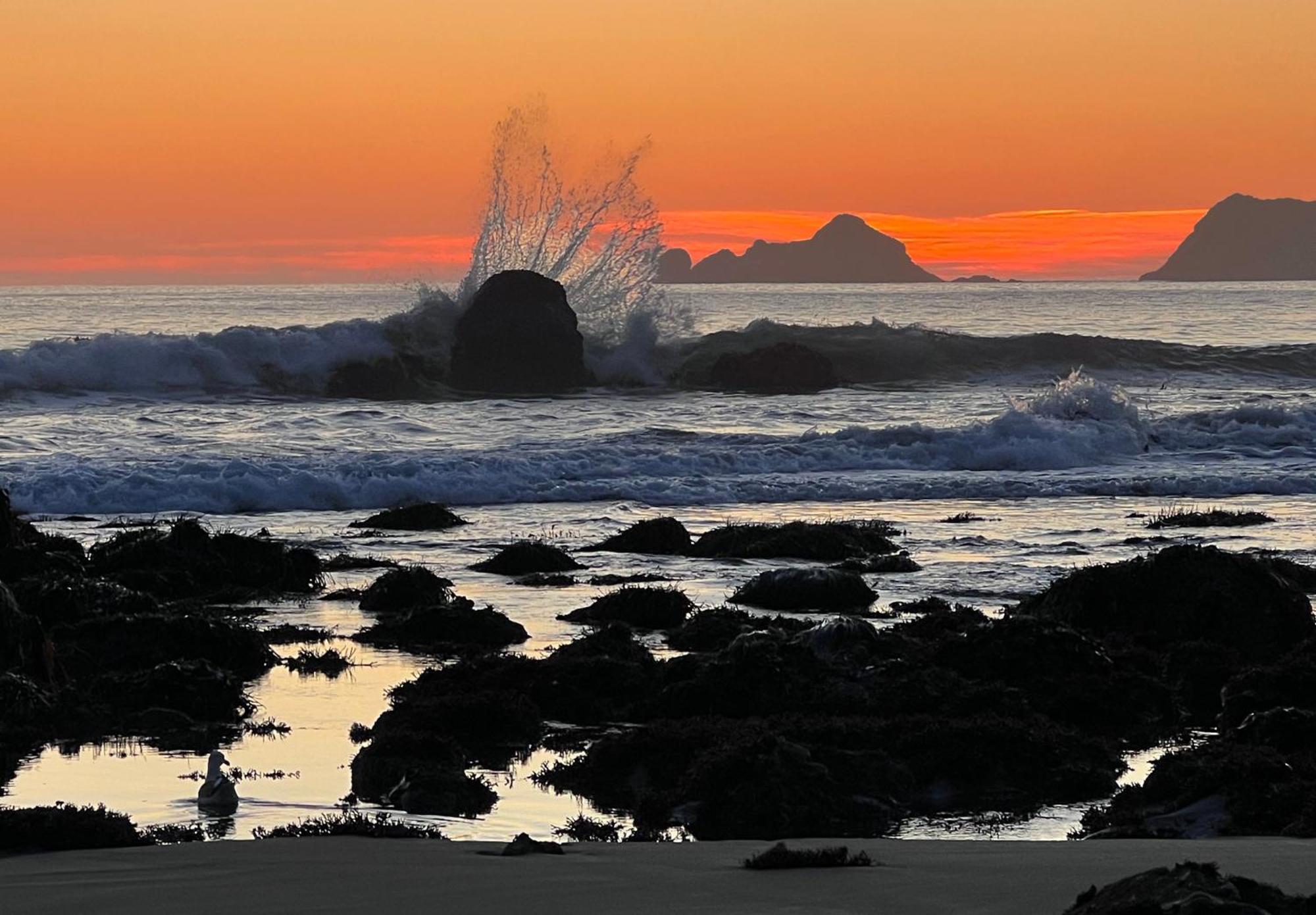 The Cove At Port Orford - 5 Ocean Front Suites Esterno foto