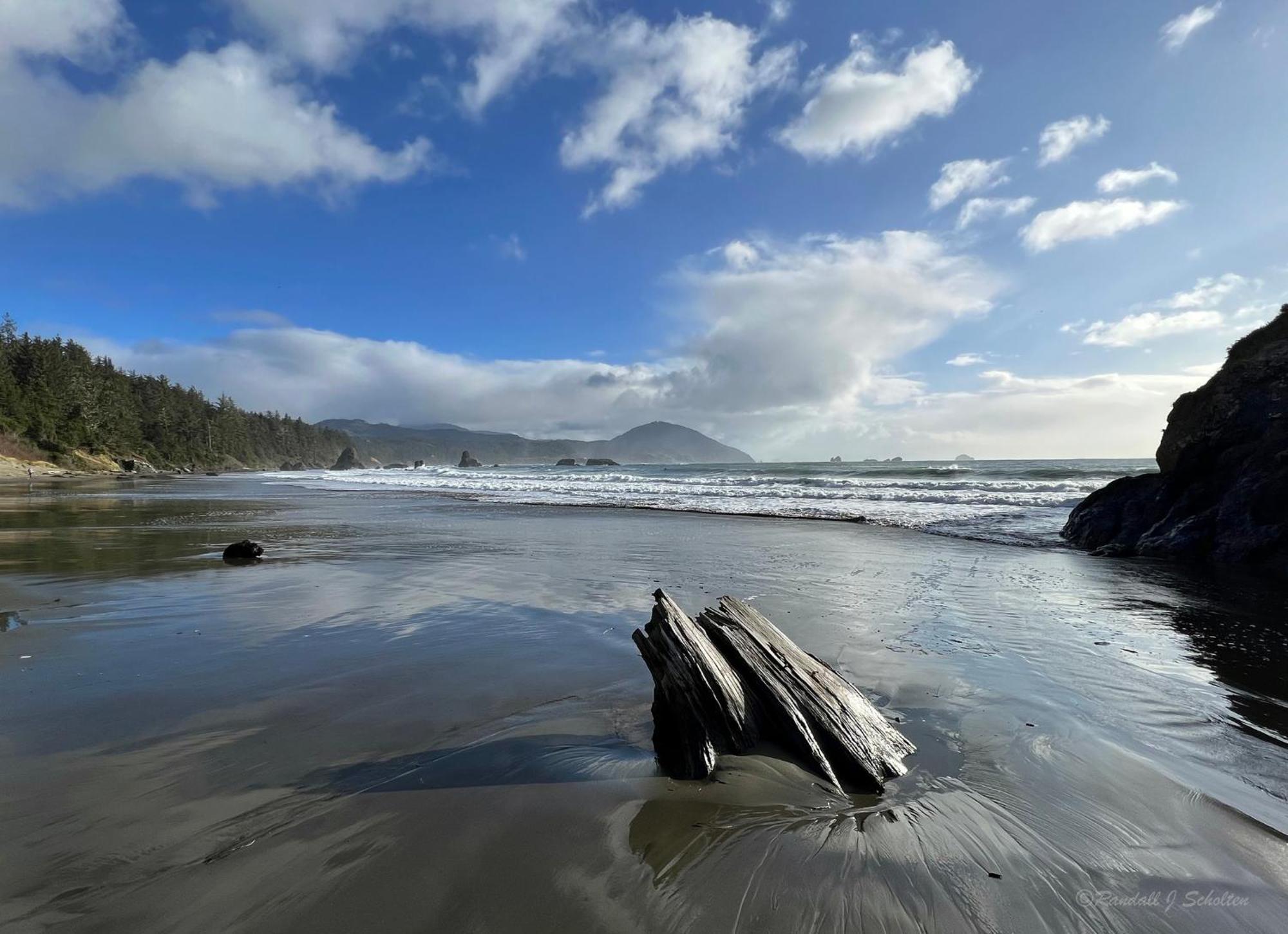 The Cove At Port Orford - 5 Ocean Front Suites Esterno foto