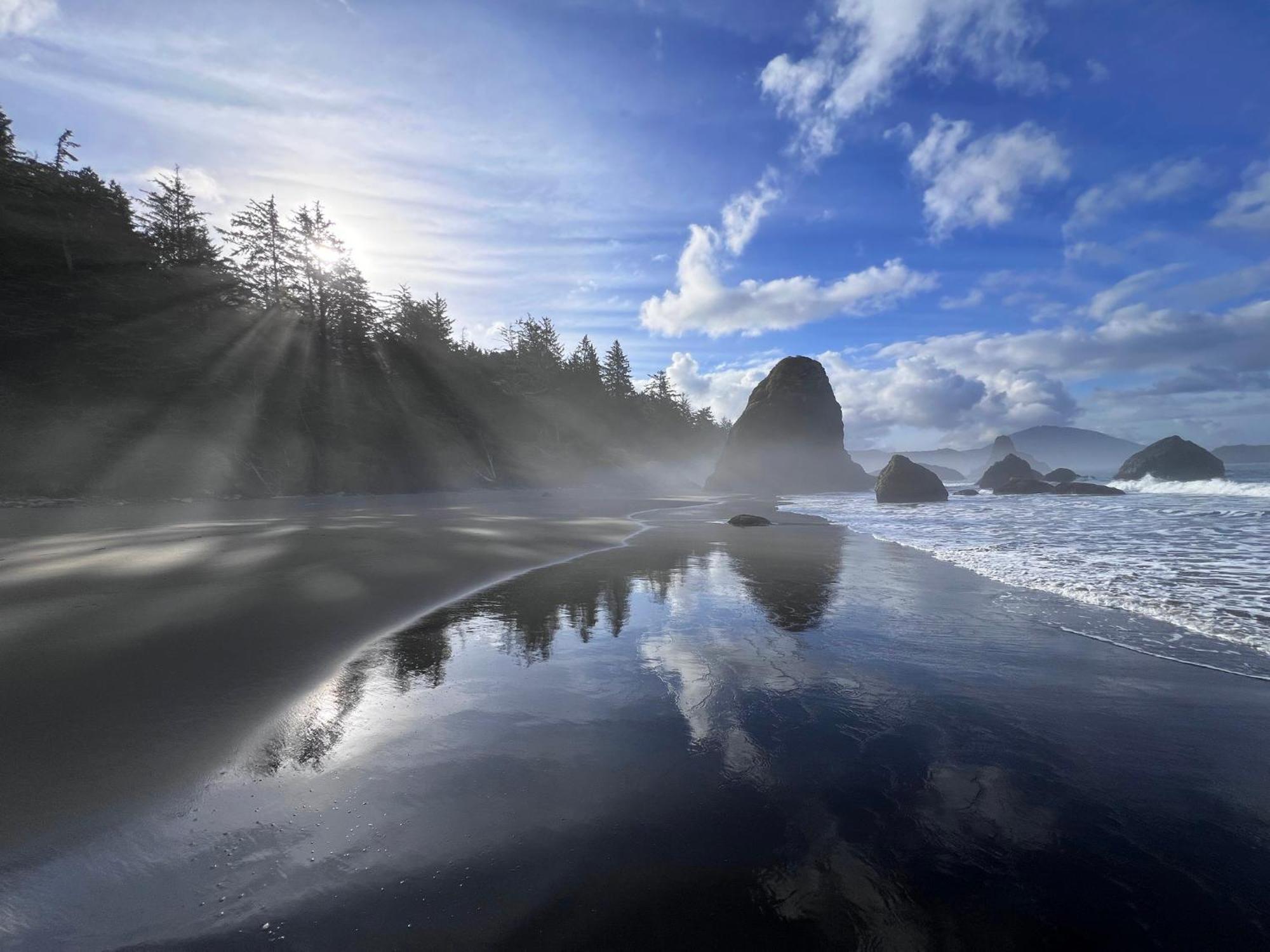 The Cove At Port Orford - 5 Ocean Front Suites Esterno foto